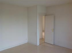 Img 0729