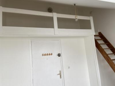 Img 494
